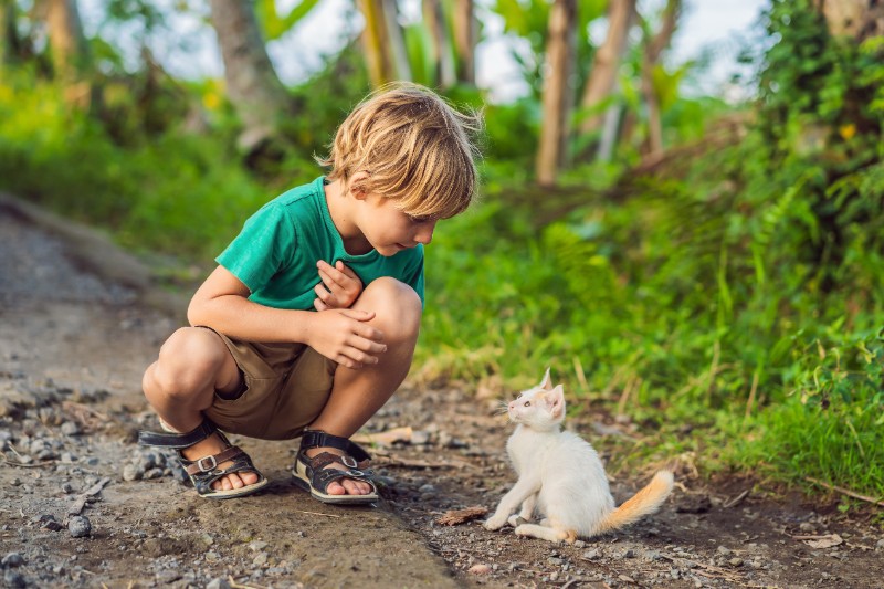Little boy and kitten